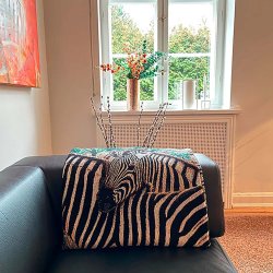 3 Zebraer p savannen - tppe